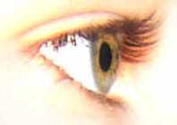 an eye
